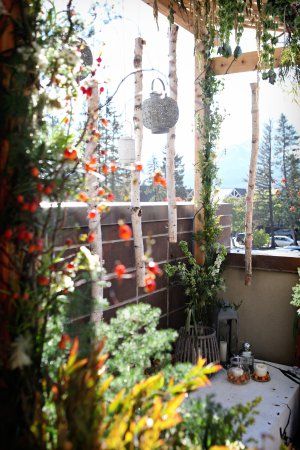 The Hive Gallery & Gatherings